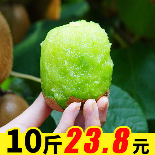 陜西綠心獼猴桃 應季鮮果，批發優選