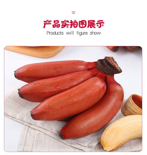 福建土樓特產——美人蕉紅香蕉 營養與商機并蓄的新鮮水果佳品